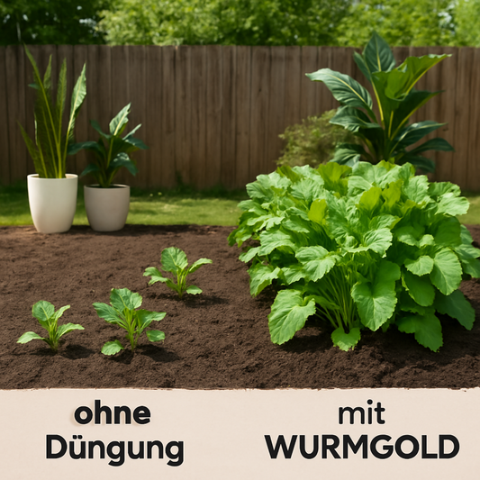 Wurmhumus 2 Liter - Universaldünger - Reiner Wurmkompost -Das schwarze Gold für deinen Garten