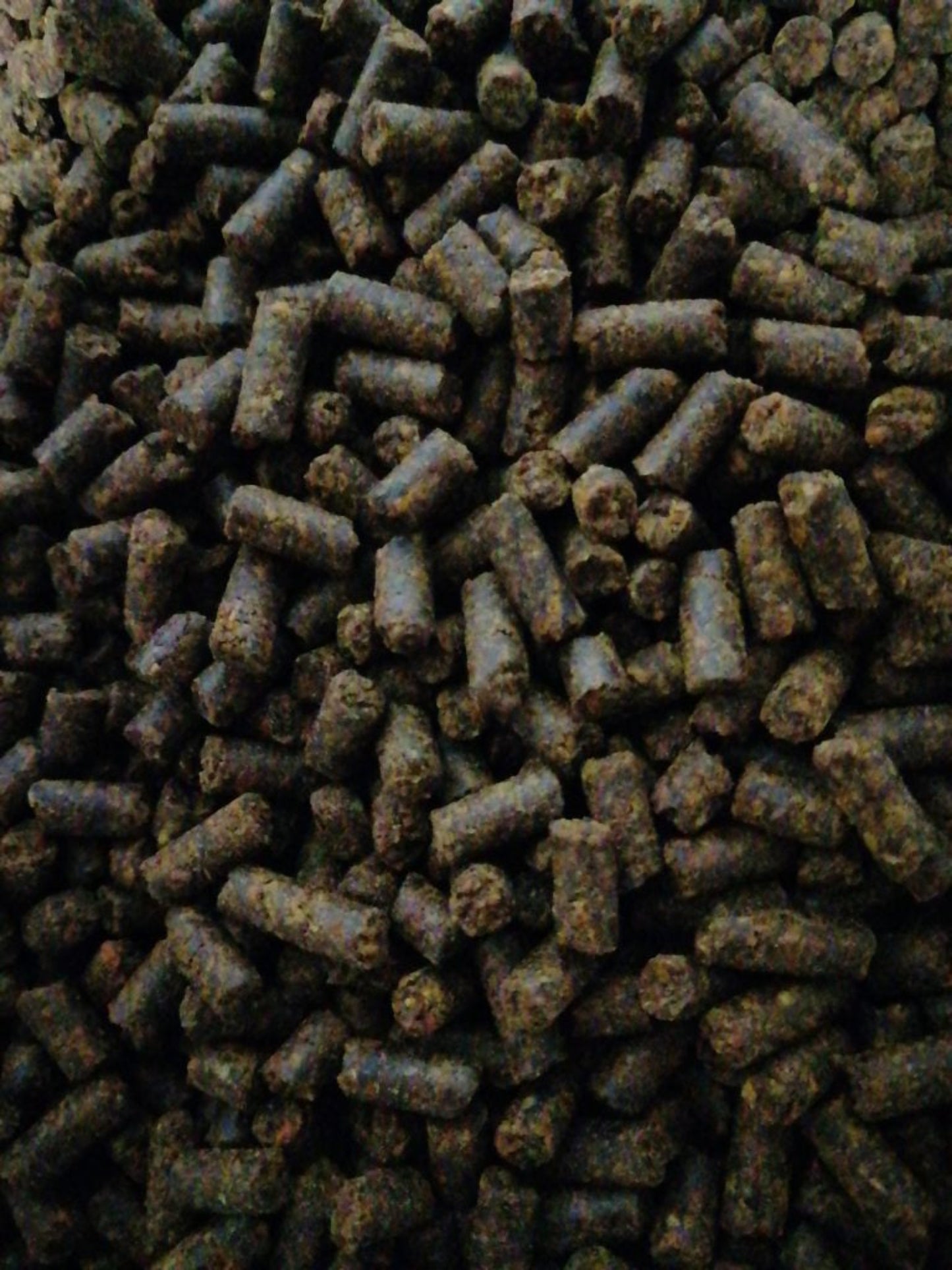 Karotten-Pellets mit Öl 1kg Versandfrei - für Hunde