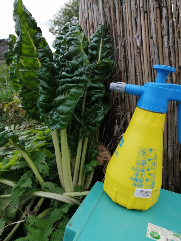 Wurmtee Komposttee Omas Gemüse-Glück - 3 Liter - Universaldünger - Vegan Zimmerpflanzen Balkonpflanzen Hanf Tomaten Gurken