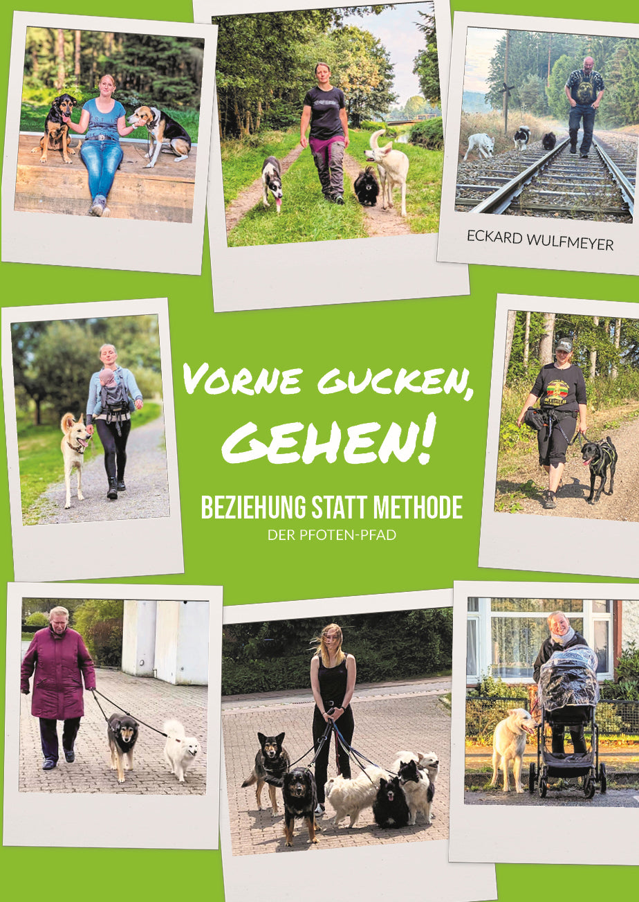 Vorne gucken, gehen! - Beziehung statt Methode / Taschenbuch