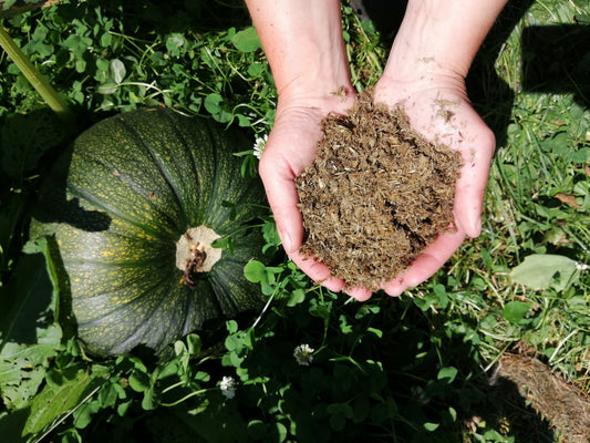 Topfpflanzen-Booster Handgemacht in Stinstedt. Für Töpfe, die mehr verdienen.