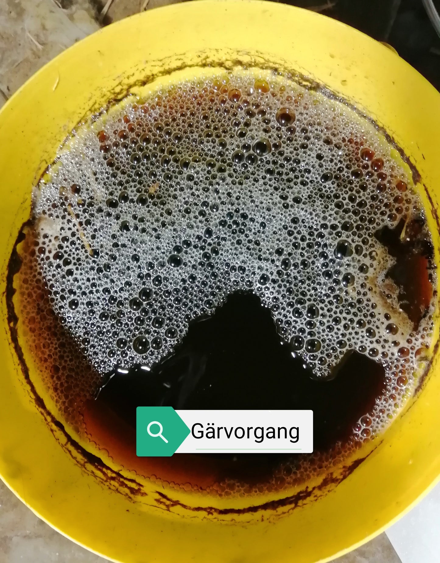 Wurmtee - Komposttee Omas Gemüse-Glück - 1 Liter - Universaldünger - Eigene Herstellung - Vegan