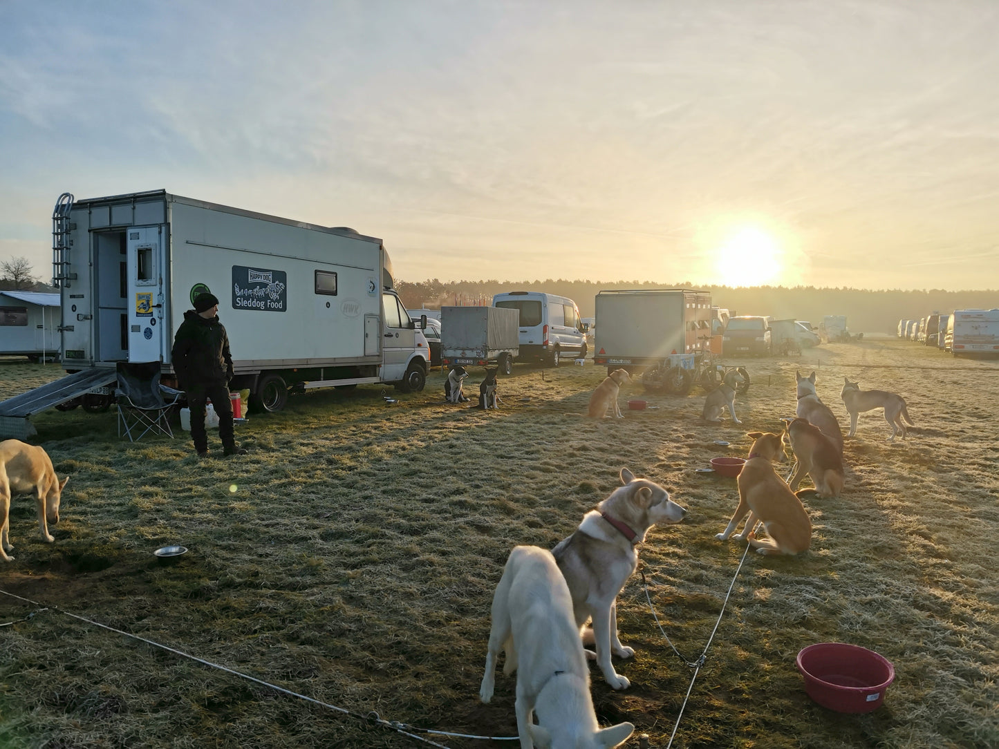 Mit 20 Huskys durch Europa: Lisas Abenteuer auf dem Weg zum Finmarksløpet.