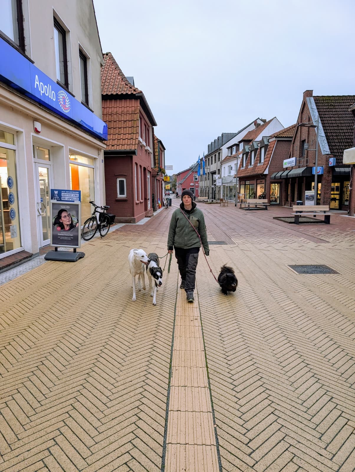 "So kannst du deinen Hund überallhin mitnehmen" Der große Pfoten-Pfad - Taschenbuch