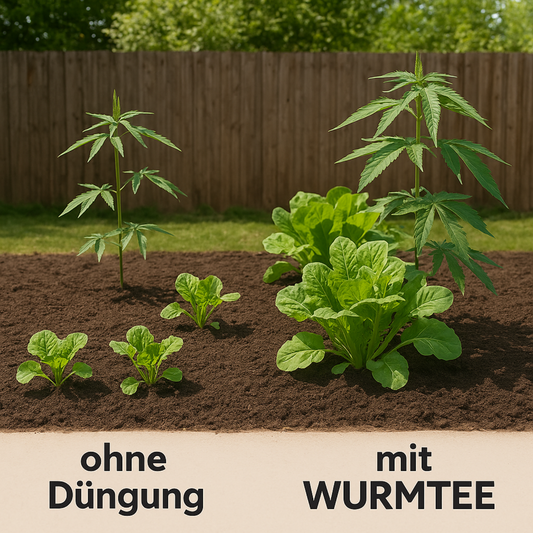 Wurmtee - Komposttee Omas Gemüse-Glück - 1 Liter - Universaldünger - Eigene Herstellung - Vegan