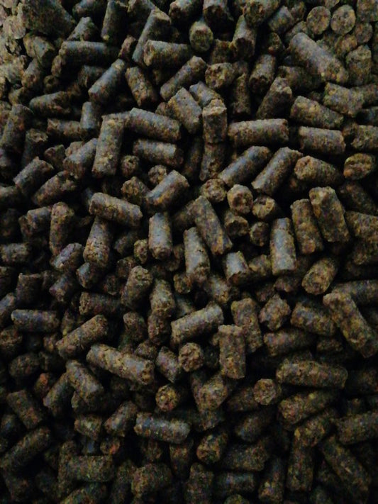 Karotten-Pellets mit Öl 1kg  Versandfrei - für Hunde Pferde Nager BARF Verdauung