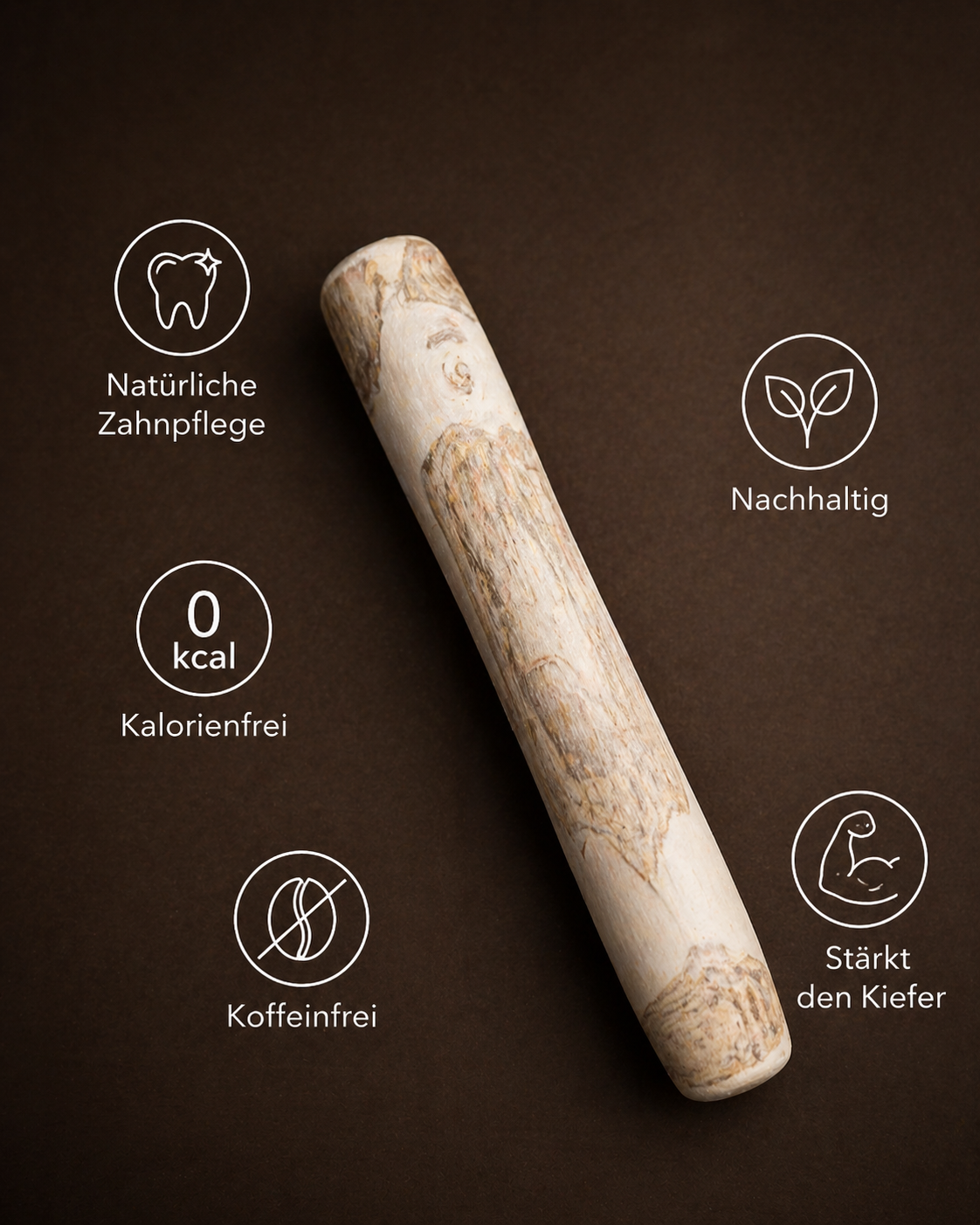 Kaffeeholz Kaustab für Hunde: Natürliches Kauspielzeug, splitterfrei und langlebig Größe M + L