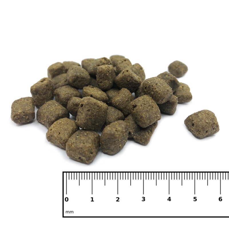 ICEPAW Insect pure Trockenfutter 14kg